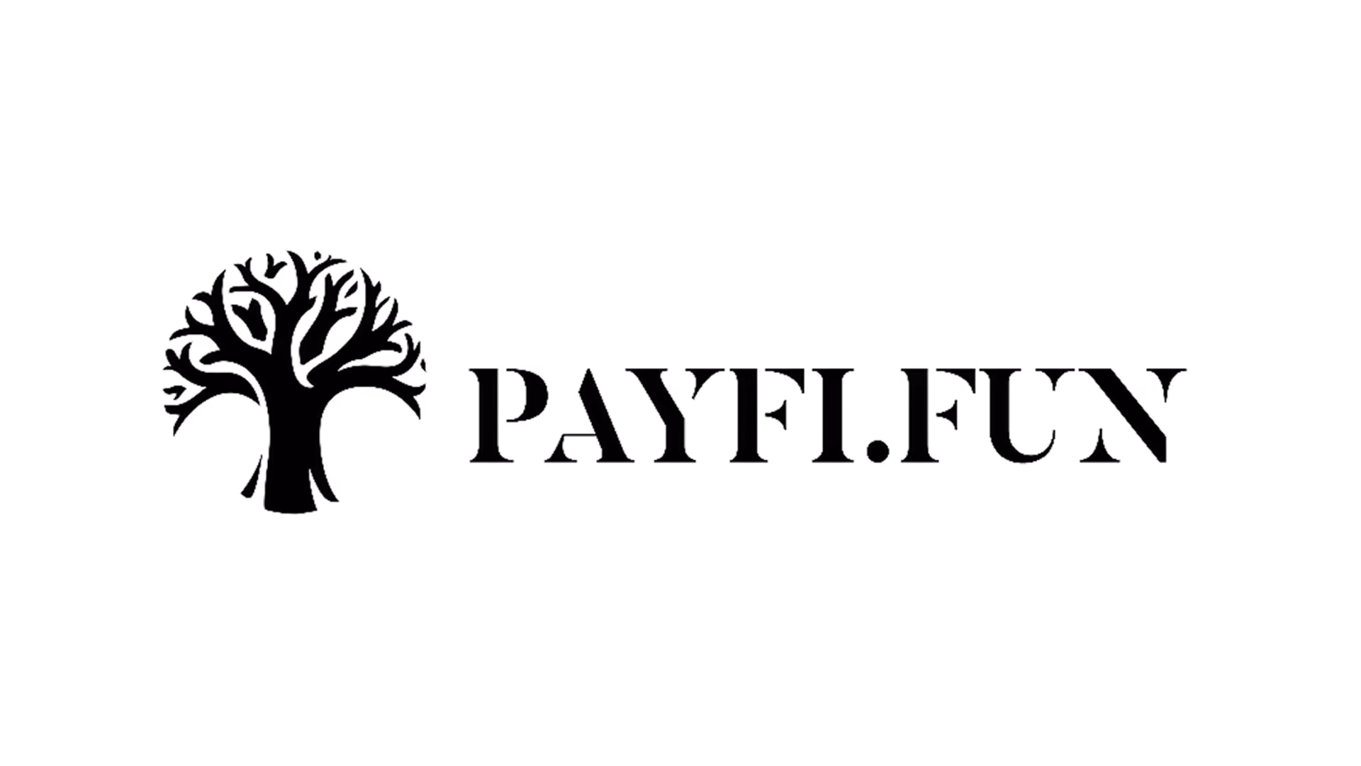 PayFi.Fun