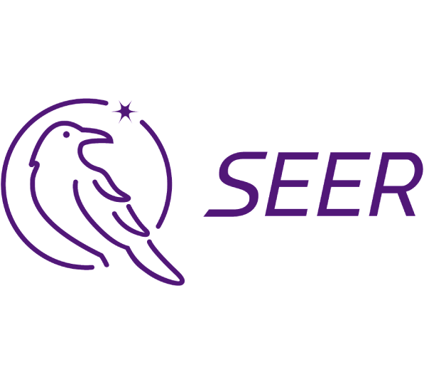 Seer
