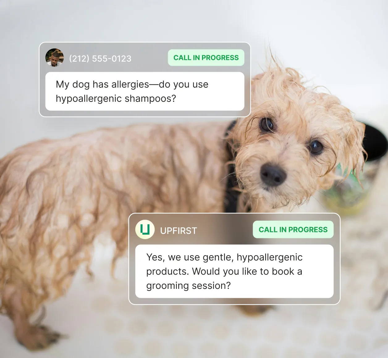 Receptionist for pet grooming discussing hypoallergenic shampoo options with customer during dog bath.