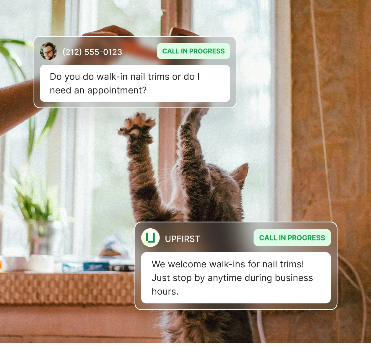 Pet grooming receptionist handling walk-in nail trim inquiry from customer with cat.