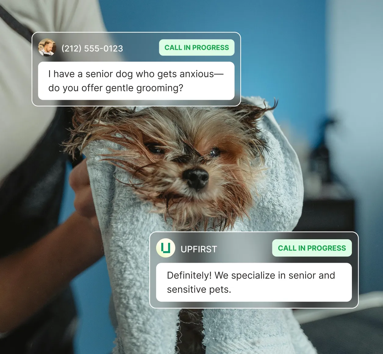 Answering service for pet grooming responding to customer inquiry about gentle grooming for anxious senior dog.