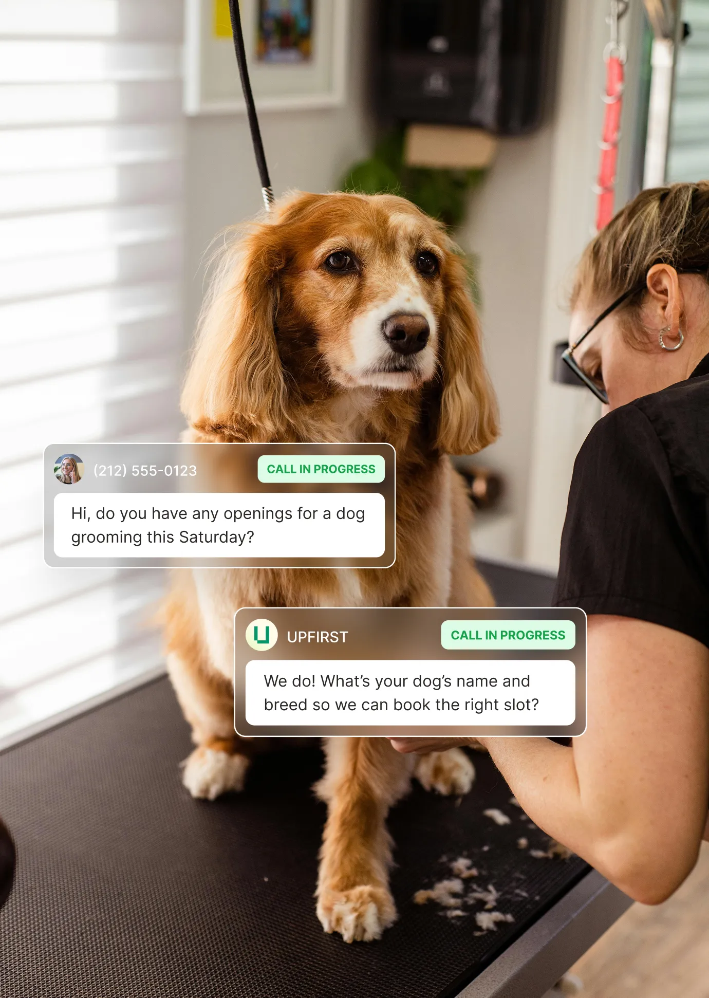 Pet grooming answering service scheduling Saturday appointment and gathering dog breed information.