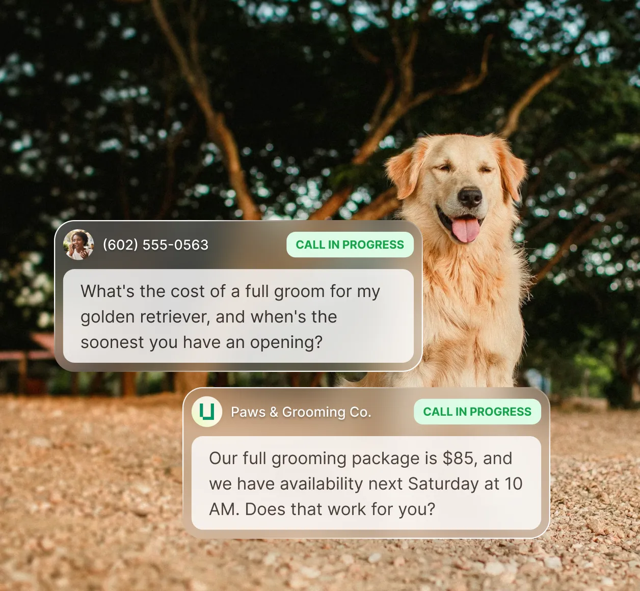Golden retriever sitting outdoors as Upfirst's answering service appointment scheduling quotes a grooming price and books a Saturday opening.