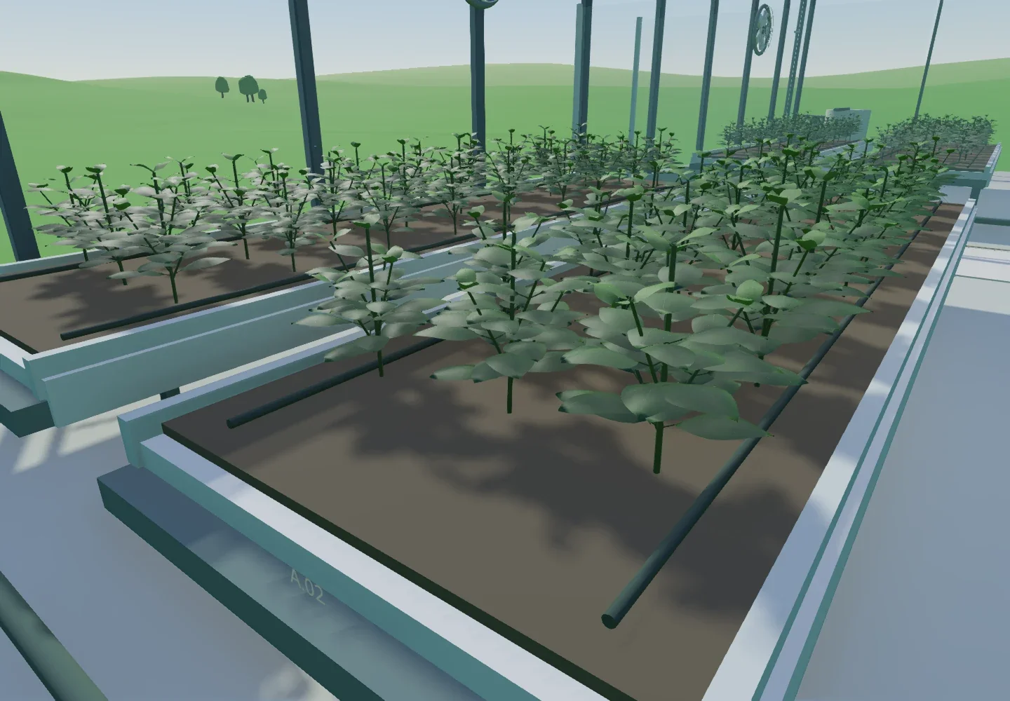 Plant-growing zones in the shared Nova greenhouse training project.