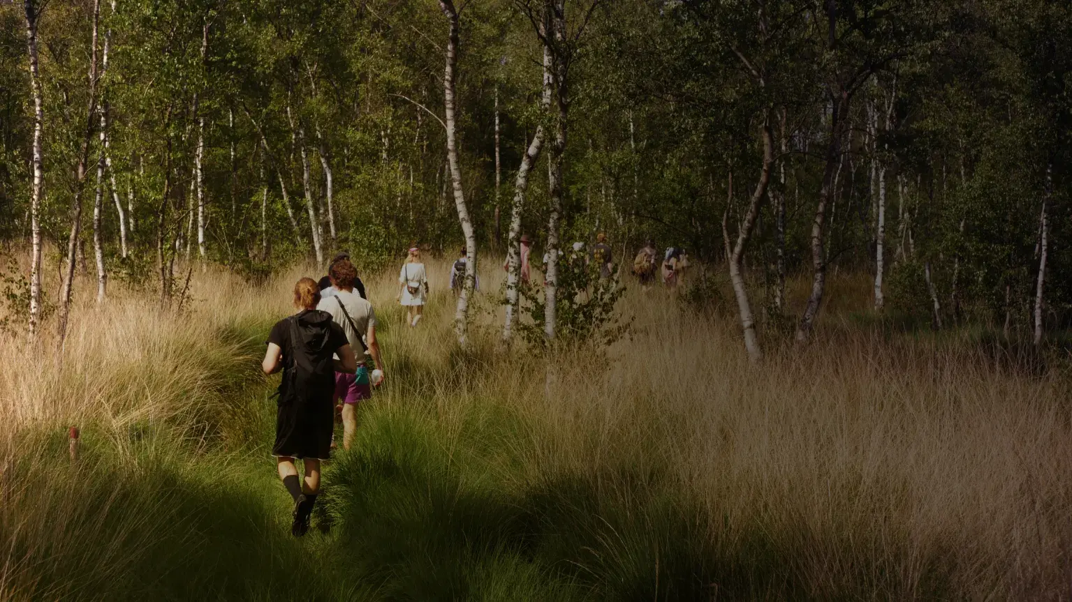Tour durchs Moor. Eine Gruppe läuft durch ein bewaldetes Moorgebiet.