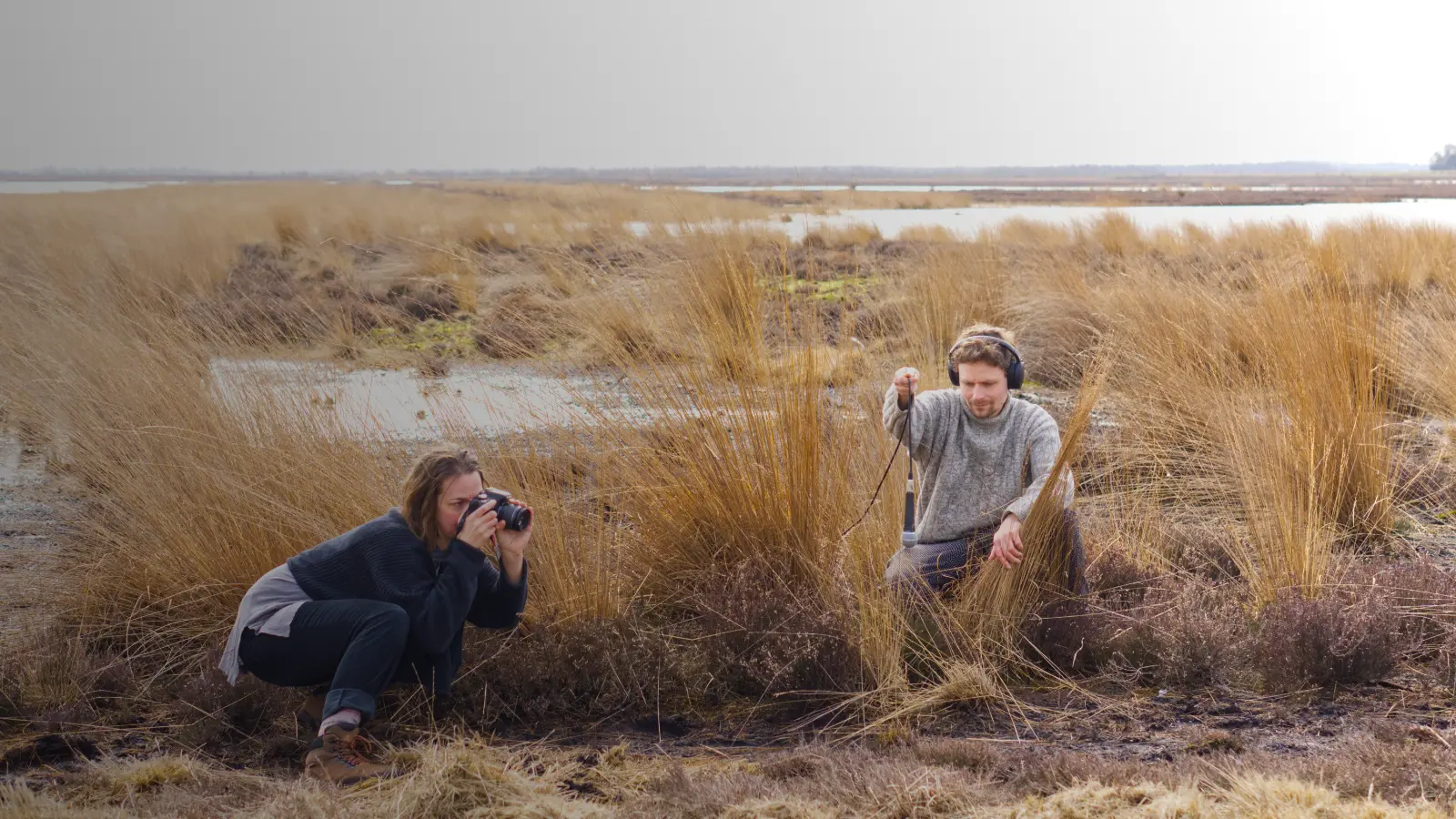 Mit Mikrofon und Kamera das Moor hören und sehen. 