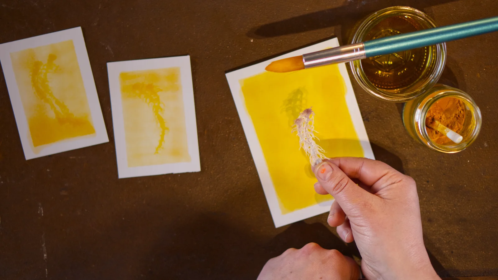 Torfmoose werden mittels eines Solardruckverfahrens auf Papier übertragen.