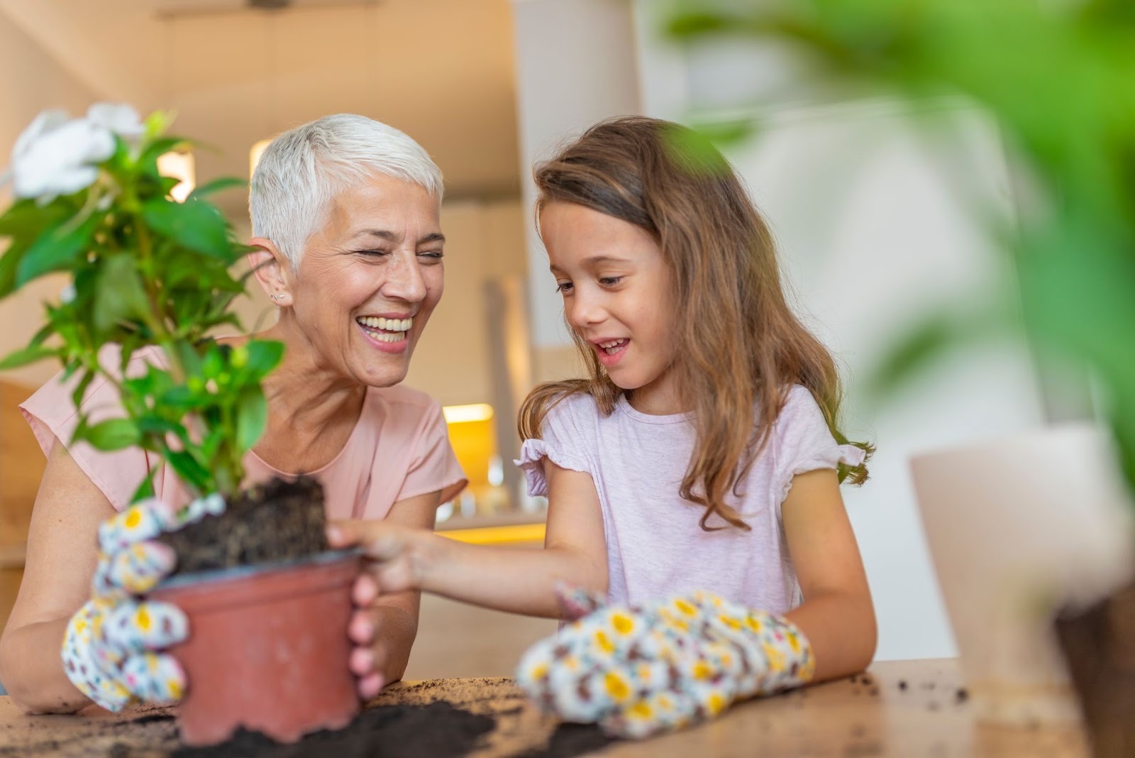 Grandmother and granddaughter potting a plant together at a table indoors.