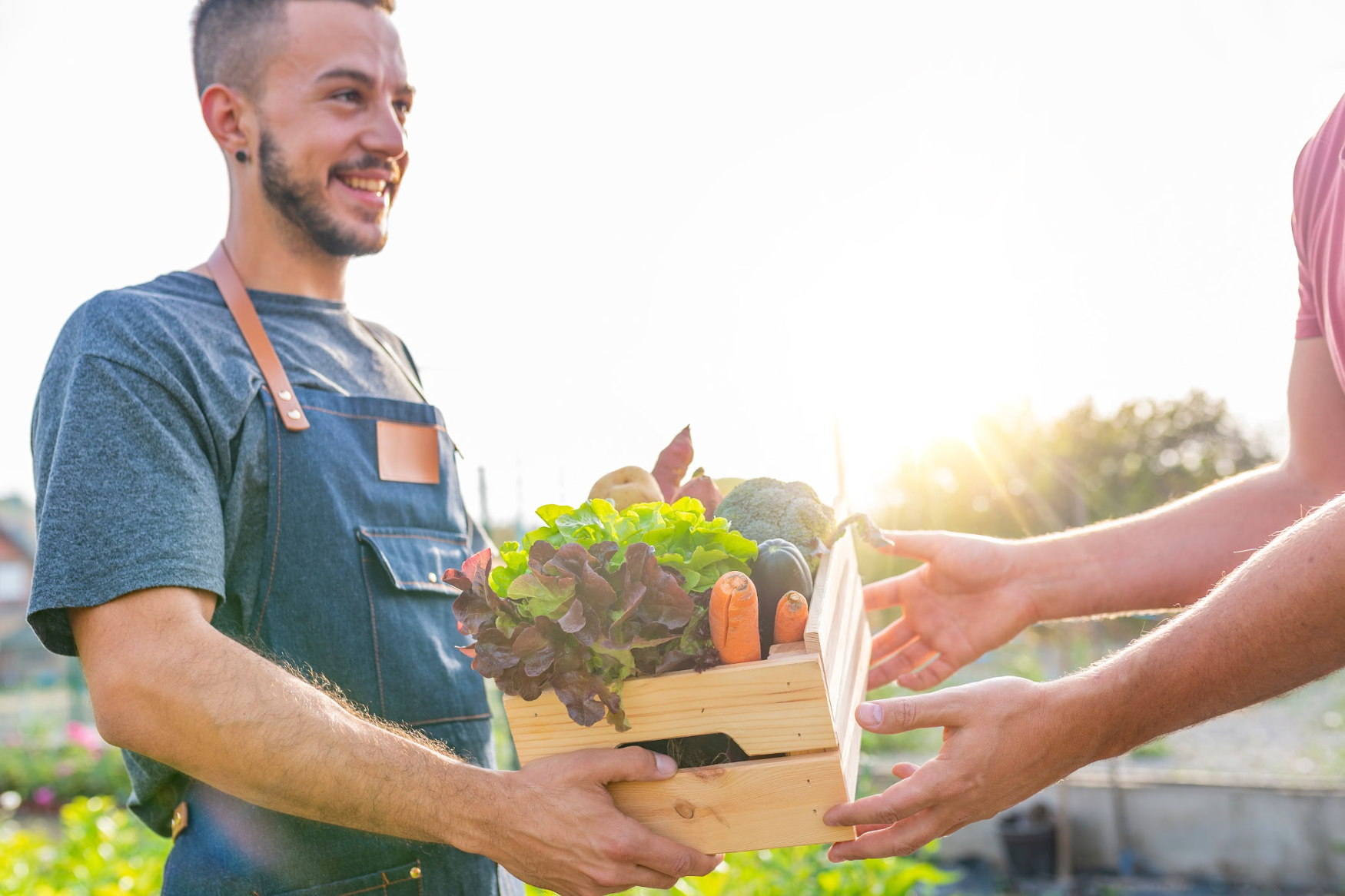 Farmer selling his produce on a sunny day 