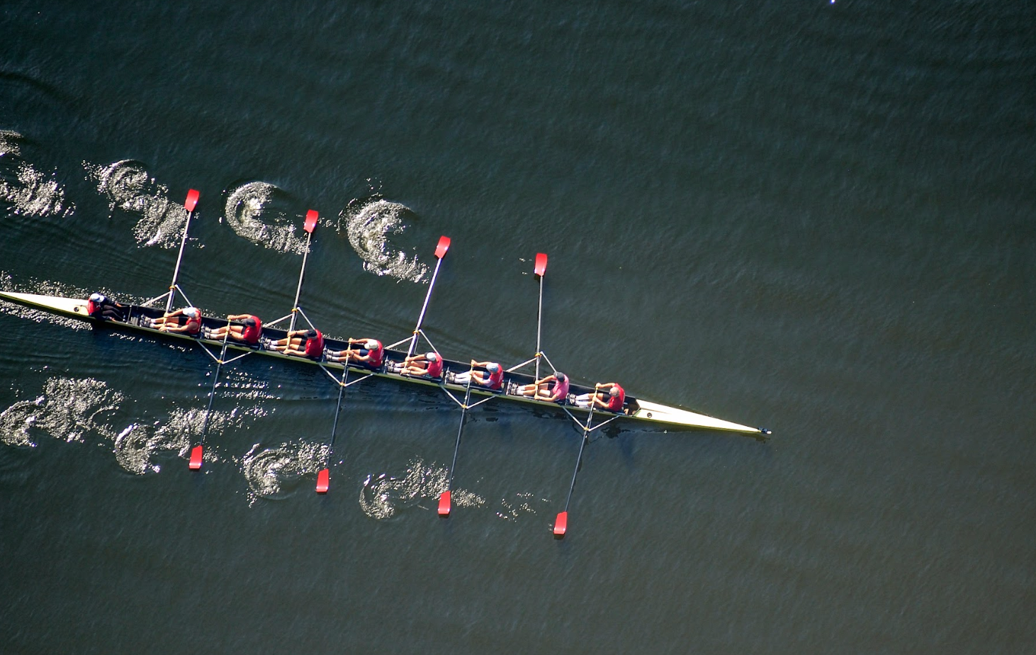 Aerial view of a group of rowers on the water