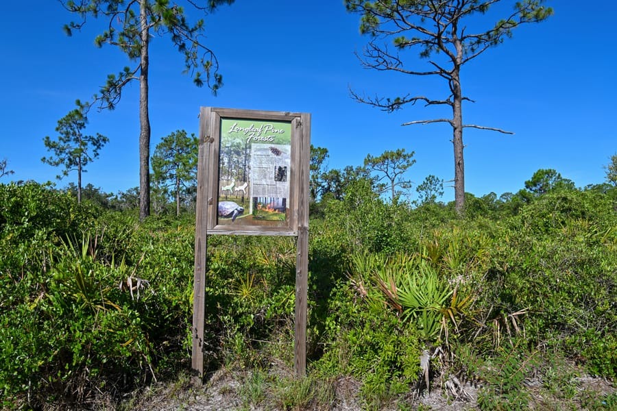 Lush green native plants growing around a sign at the Old Miakka Preserve in Southwest Florida