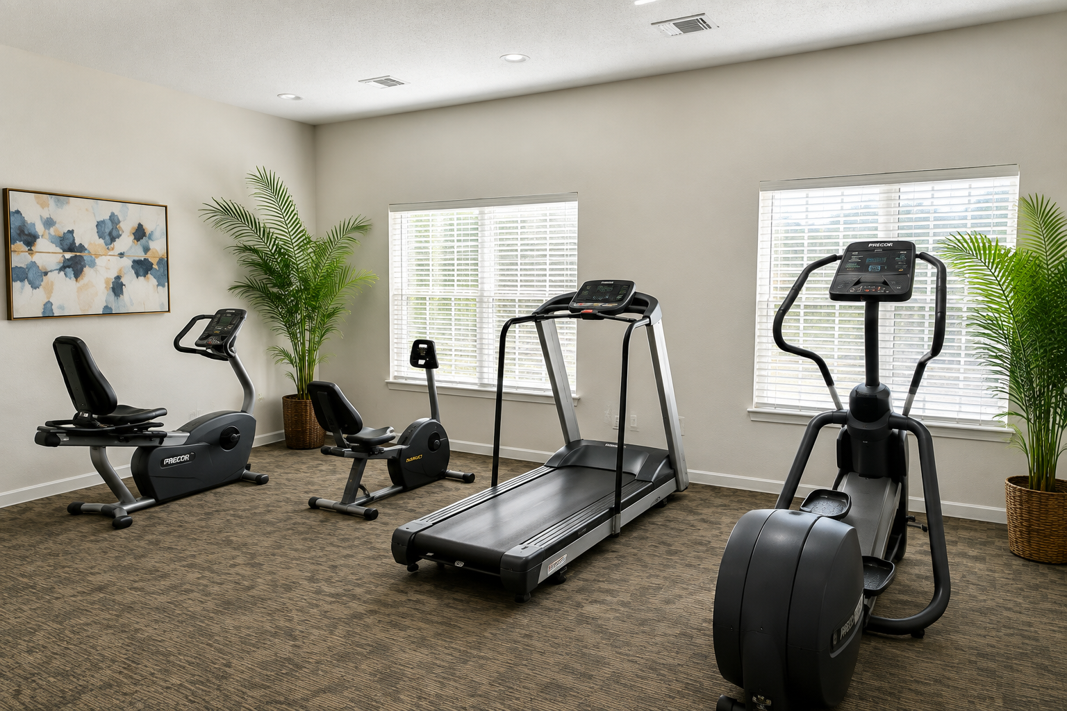 Gym with treadmills 