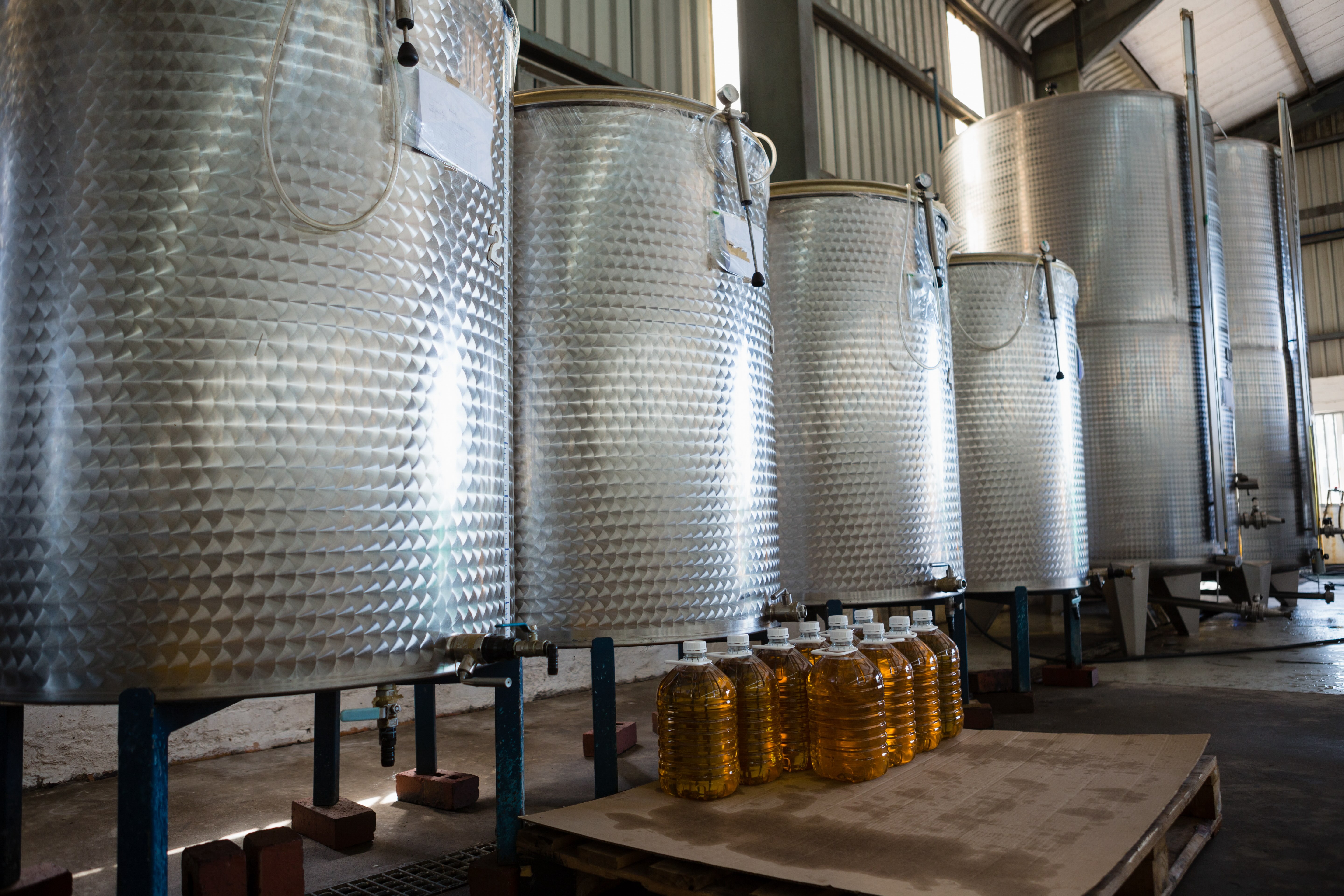 Soft Commodities and Edible Oils in 2025: Strategic Value Beyond Price