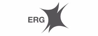 Black abstract star-like shape next to the letters ERG in gray.