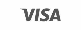 Visa logo text in gray on a white background.