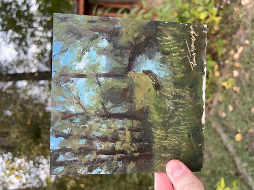 Plein Air: Salmon Trail