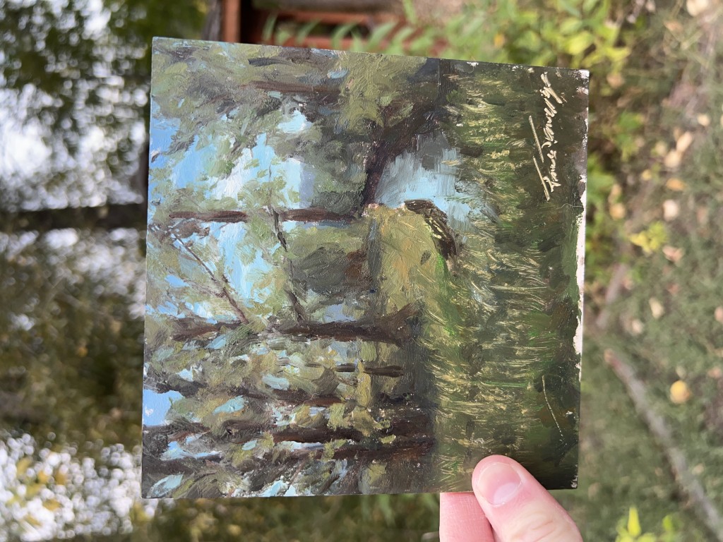 Plein Air: Salmon Trail