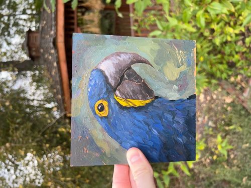 Parrot: Small Oil Painting