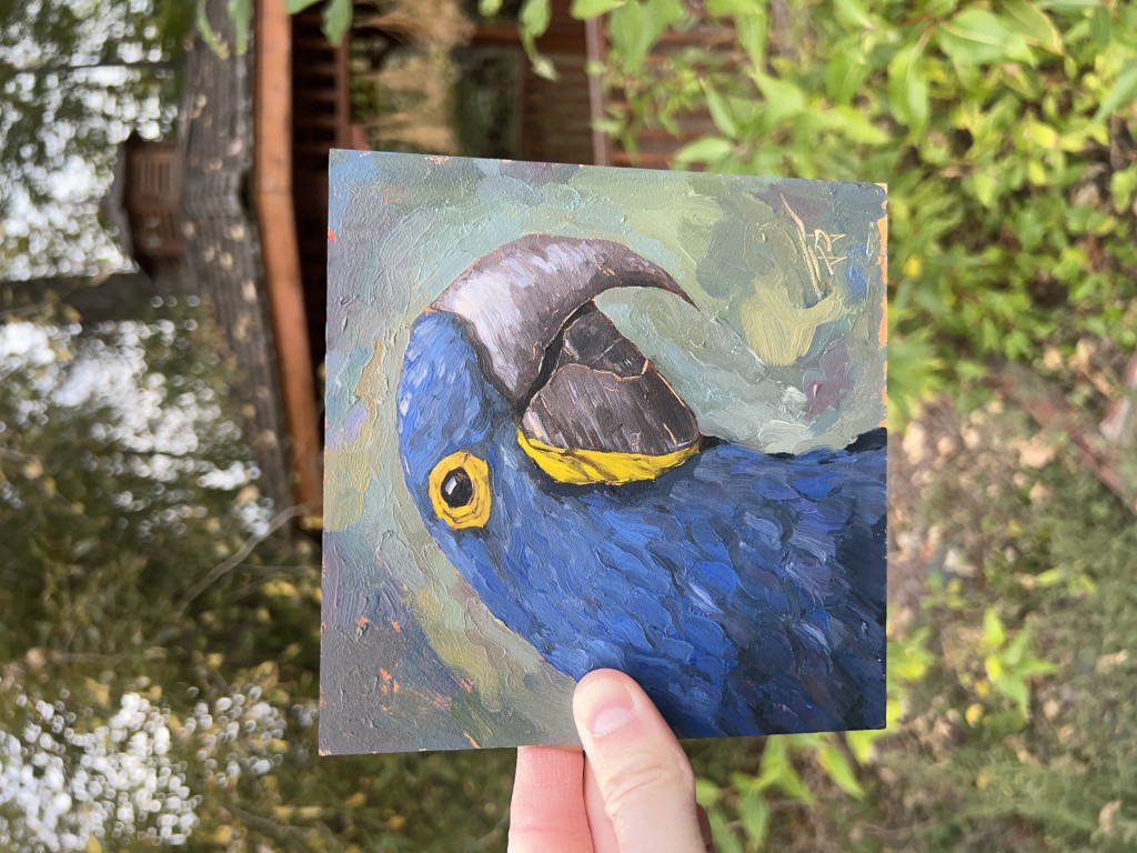 Parrot: Small Oil Painting