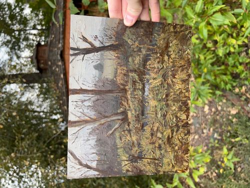 Plein Air: Rainy Forest