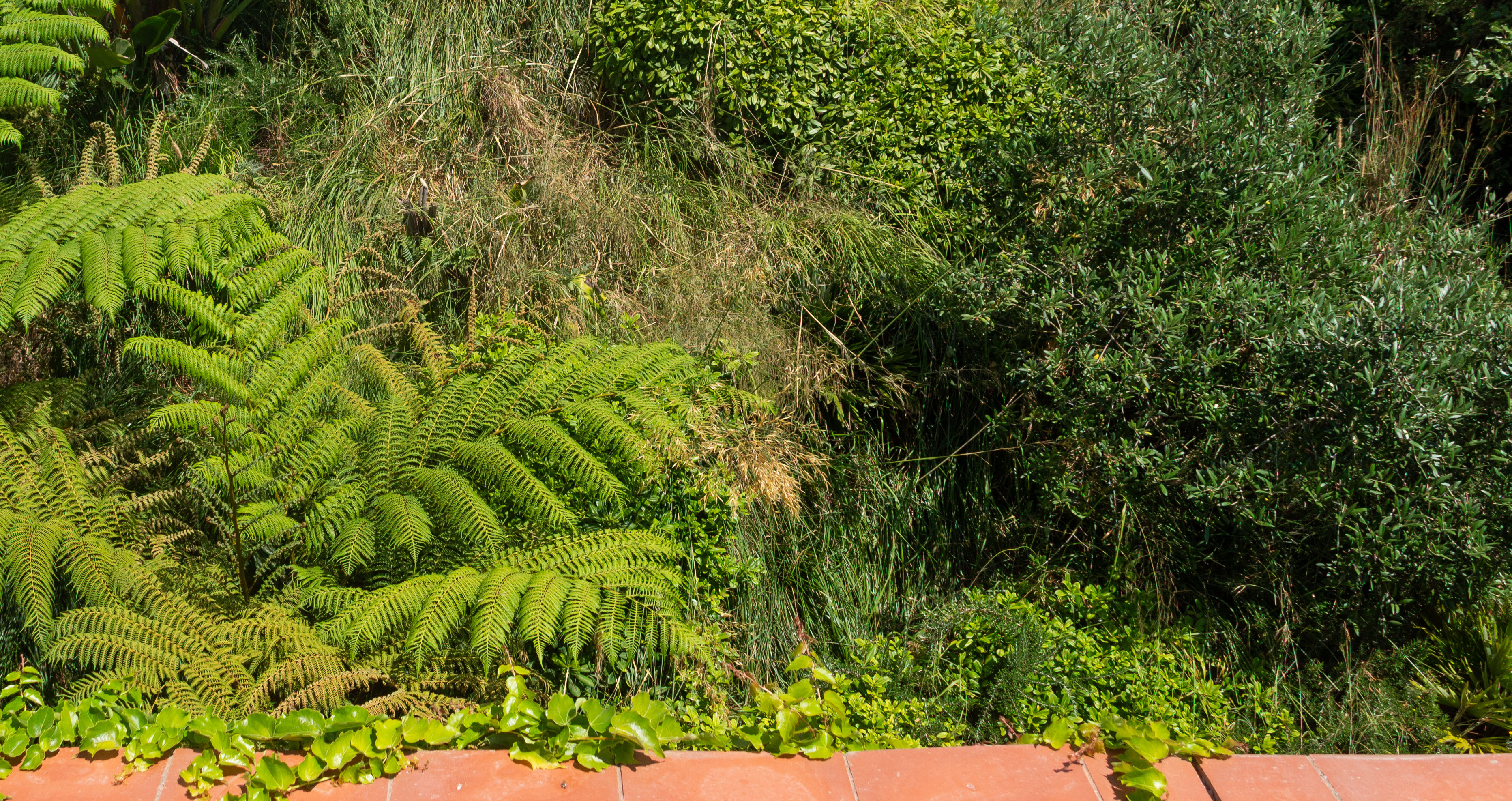 Simbiosi Landscape proyect