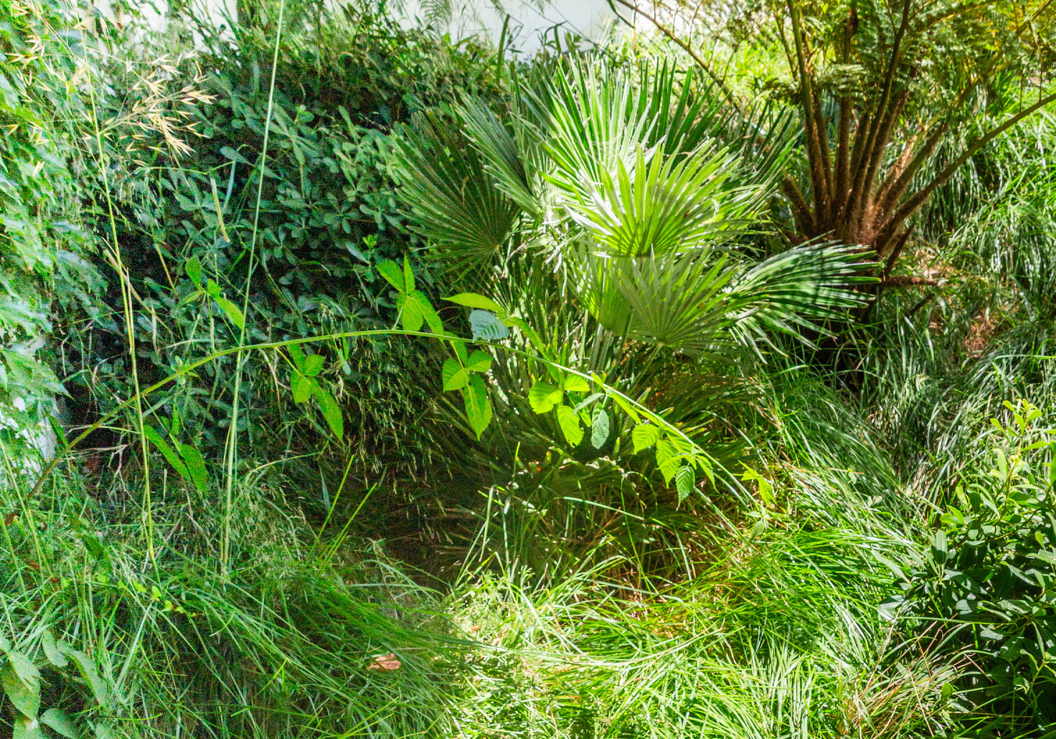Simbiosi Landscape proyect