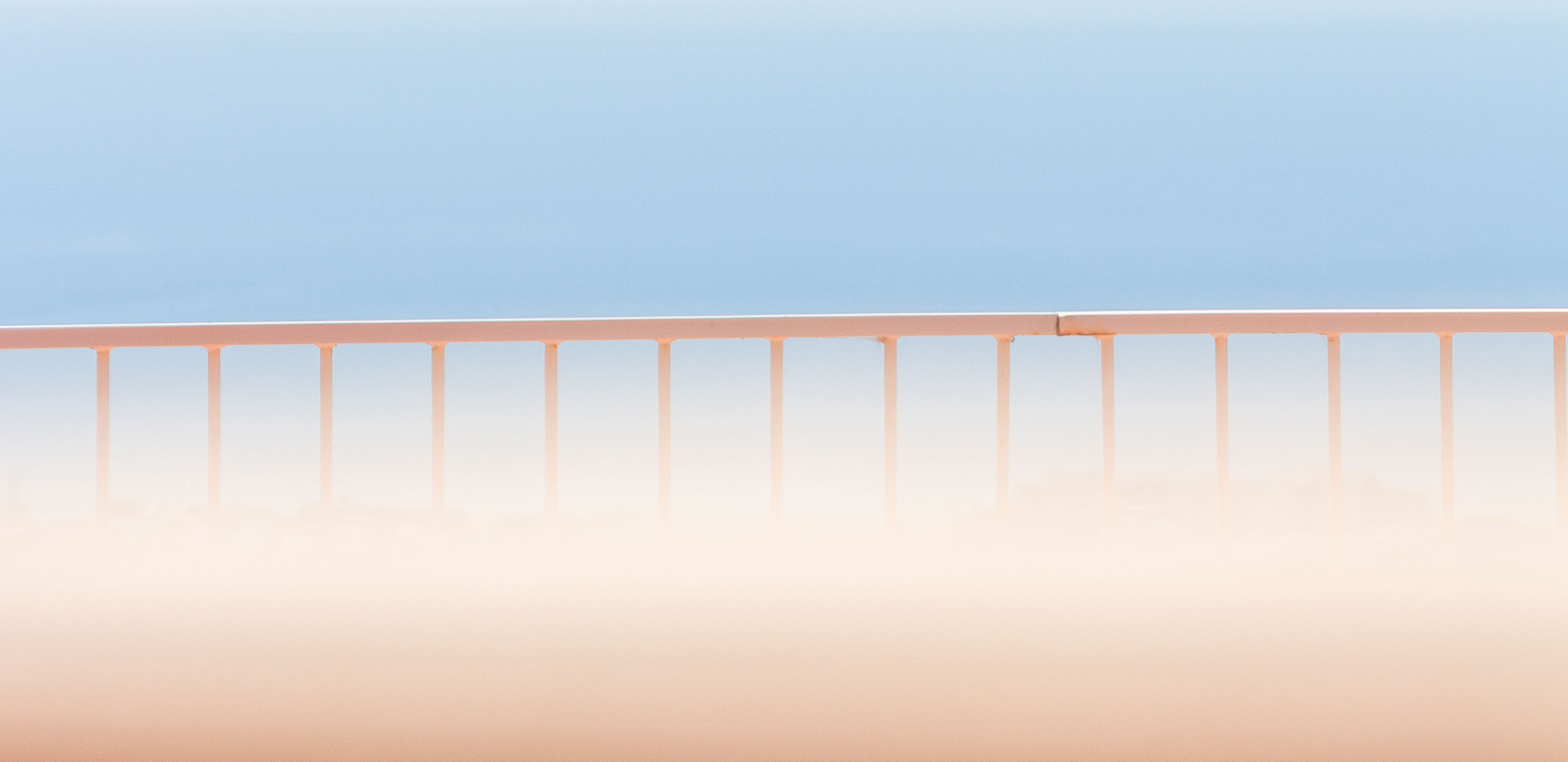 Simbiosi Landscape proyect