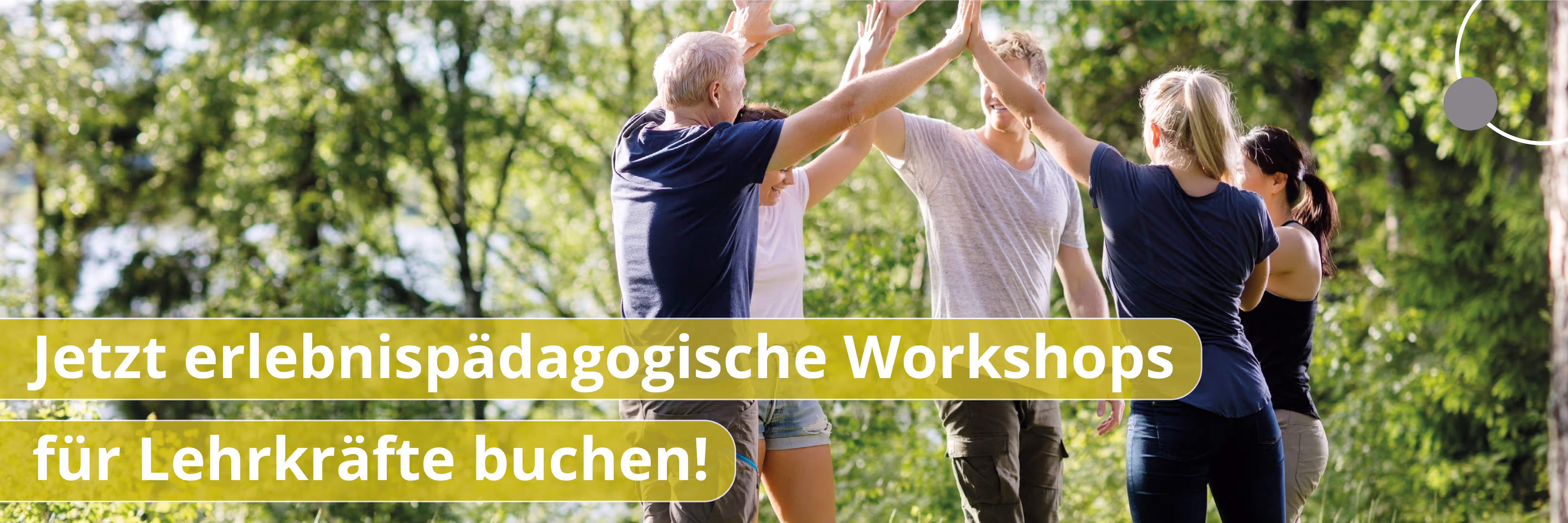 Fünf Erwachsene geben sich draußen unter Bäumen beim sonnigen Workshop ein High Five.