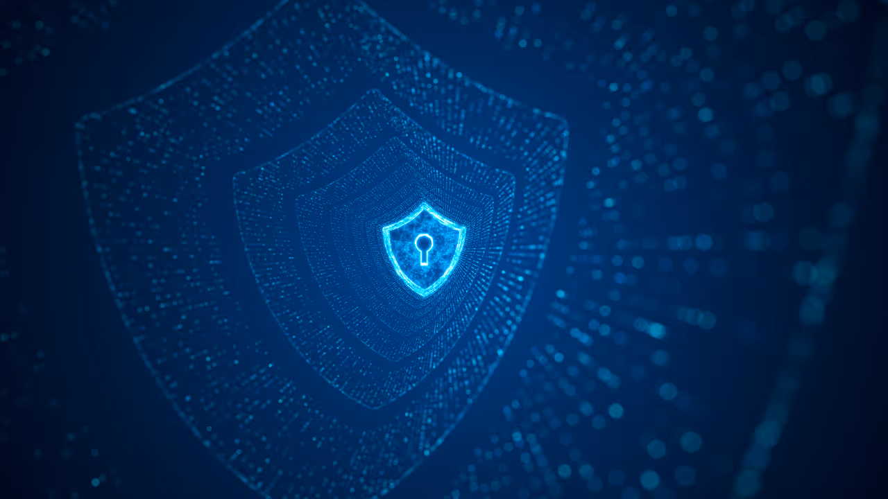 Managed IT Service Provider (MSP), what is it?