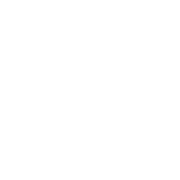 tennis racquet with a tennis ball