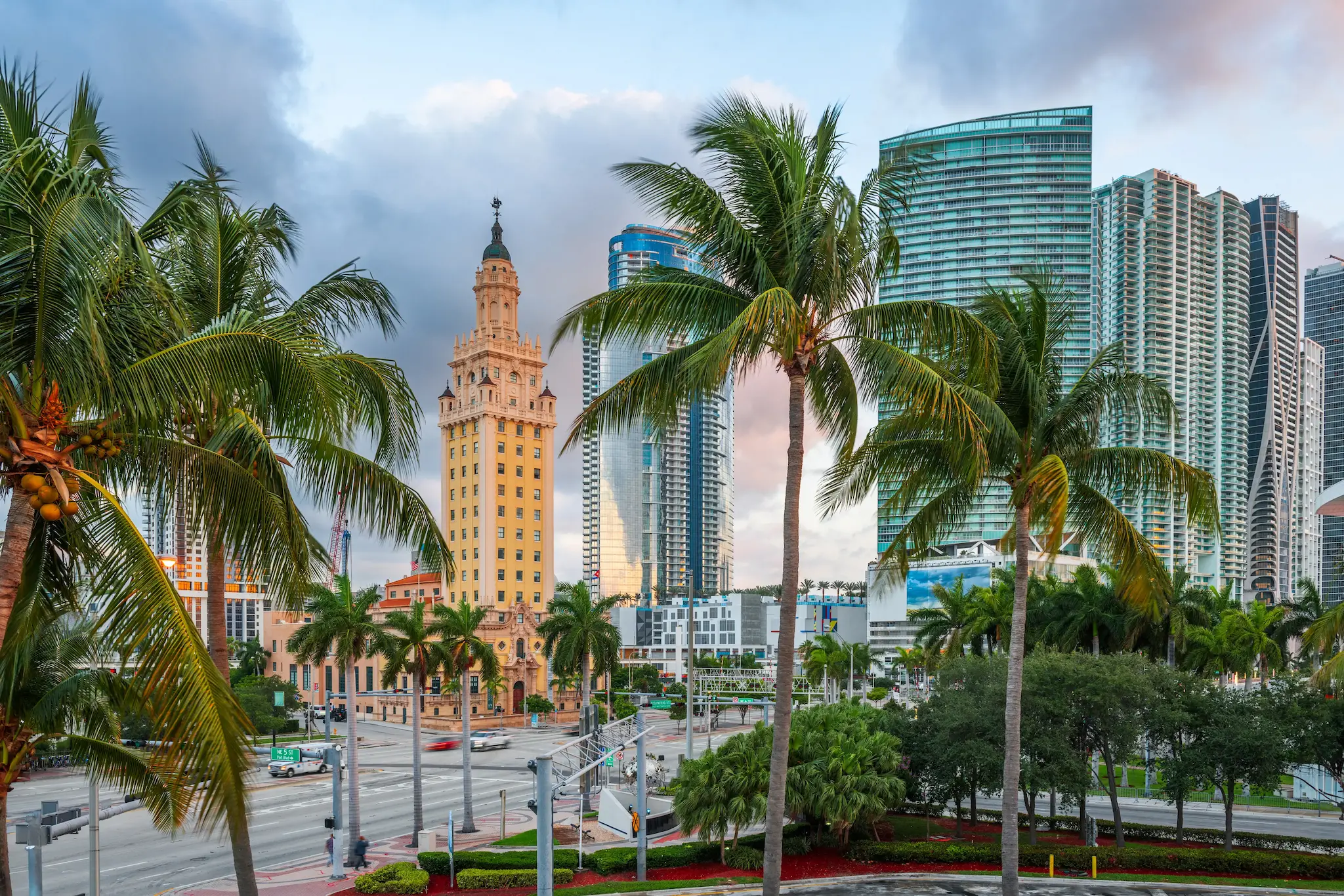 A view of a city with palm trees in the foreground.