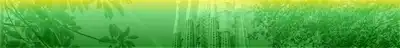 Decorative Section Background