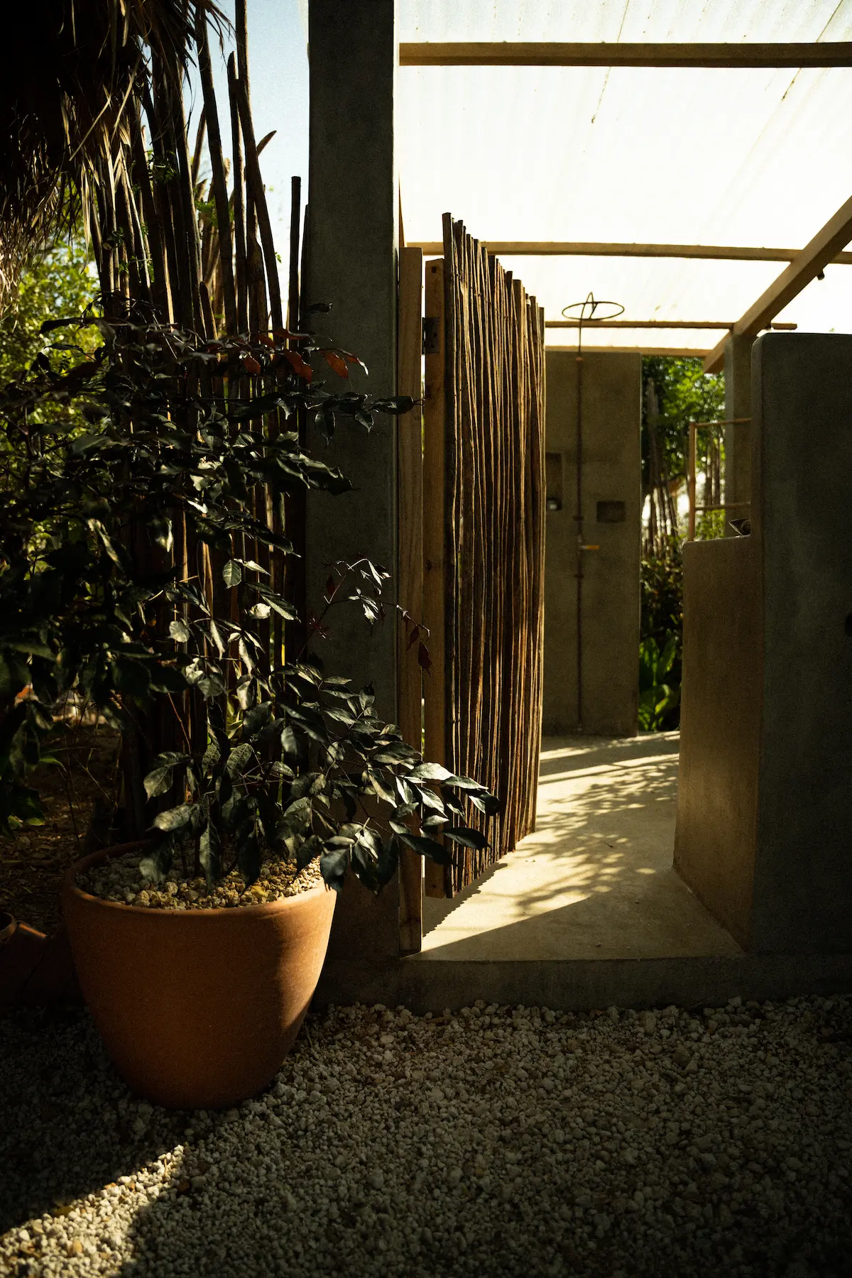 An open air bathroom with plants. 