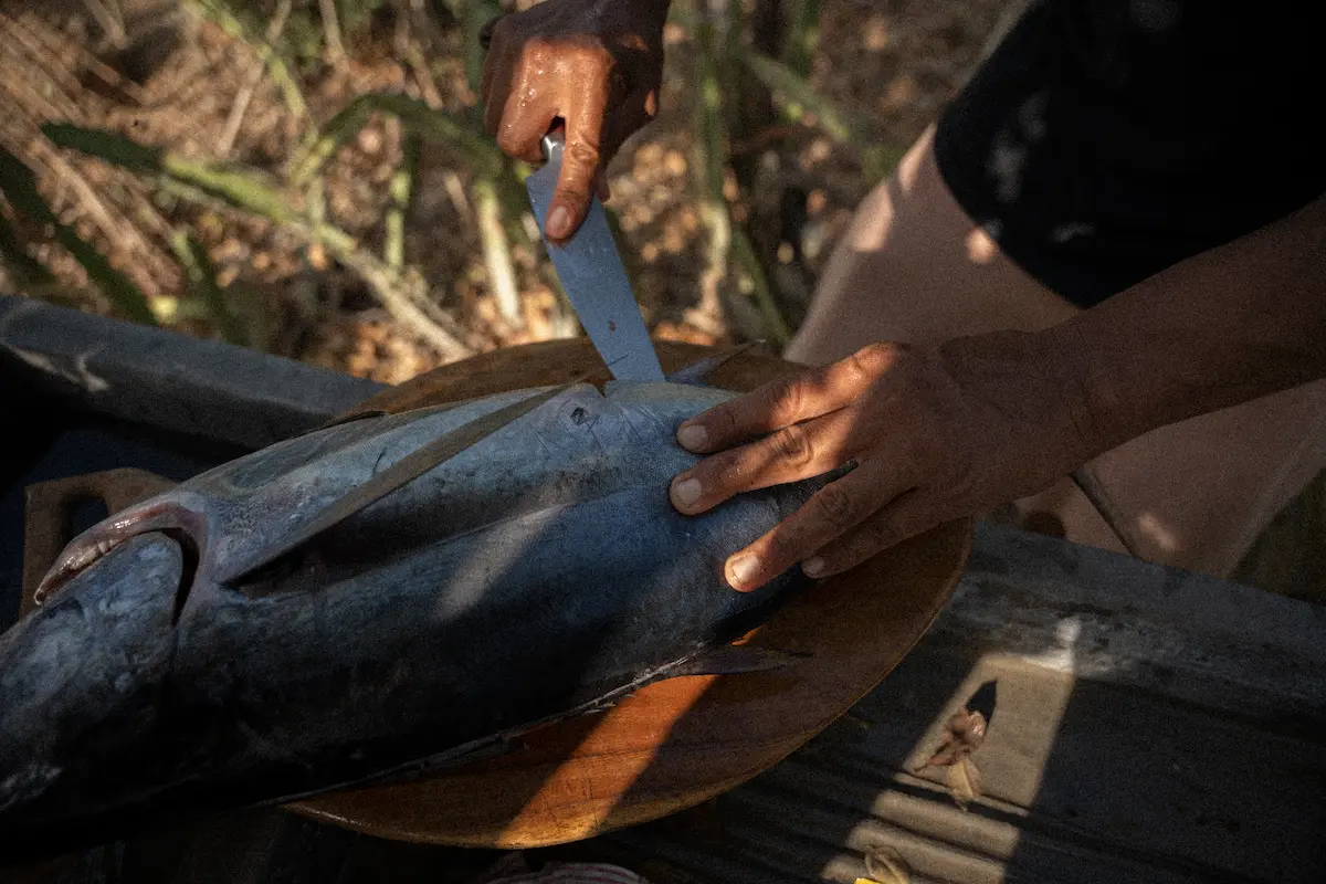 A man filleting a fish with a knife.