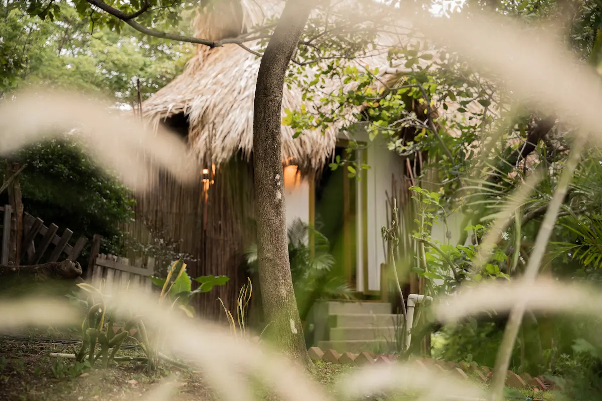 Thatched roof cabana with blurred foreground.