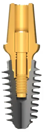 AnyRidge-Megagen-structure-of-dental-implants