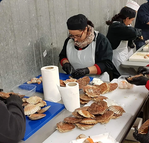 Personne en blouse blanche et bonnet noir écaillant des coquilles Saint-Jacques sur une table avec des piles de coquilles vides.
