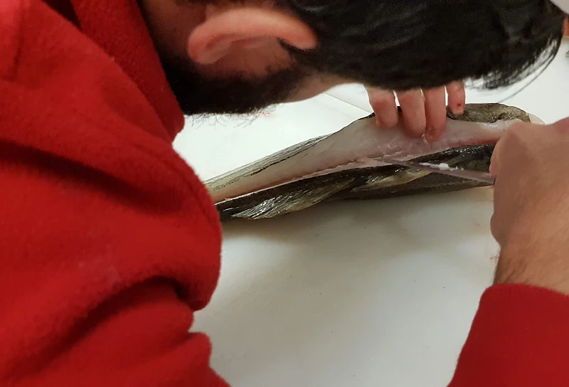 Un homme file un poisson.