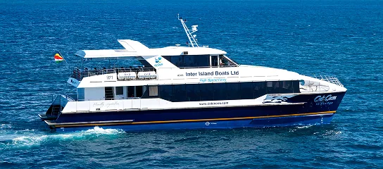 Side view of a Cat Cocos high-speed ferry cruising through the Indian Ocean with clear blue water in the background.