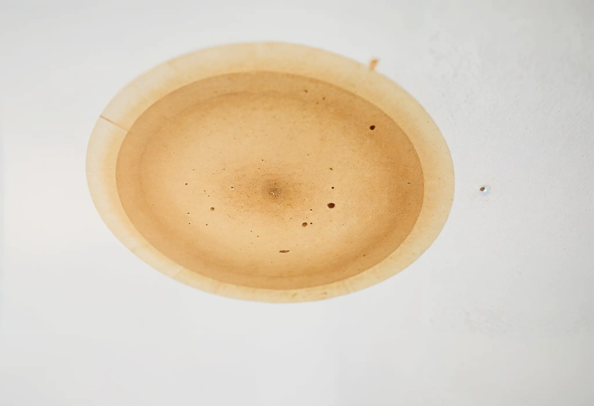 an ultra-realistic photo of a brown water stain on a white ceiling in a West Virginia home