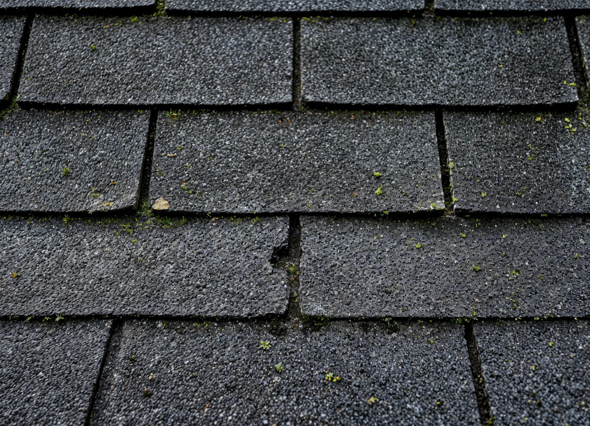 Cracked asphalt shingles on a Virginia home roof showing sun damage and missing granules.