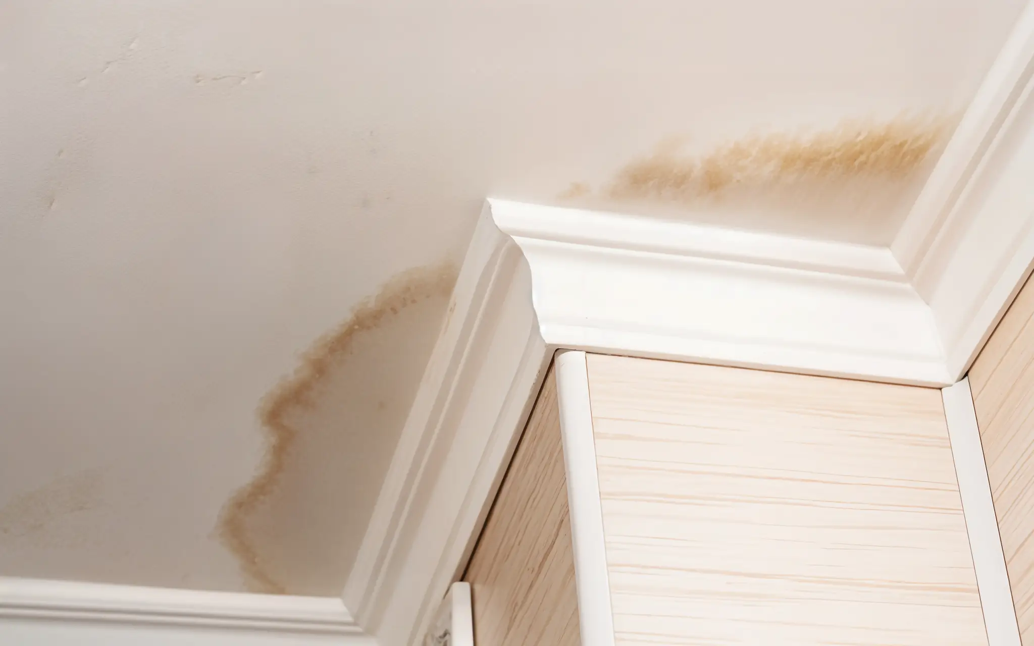 light brown mildew stains on ceiling from roof leak in West Virginia home
