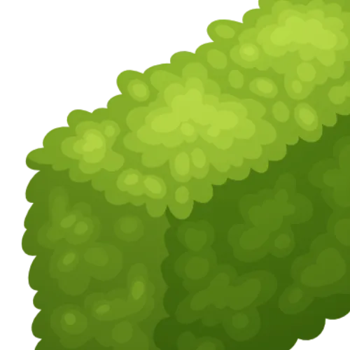 A close up illustration of a hedge