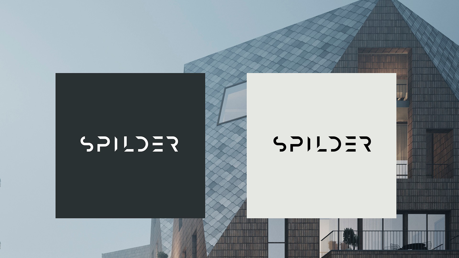 Logodesign for Spider