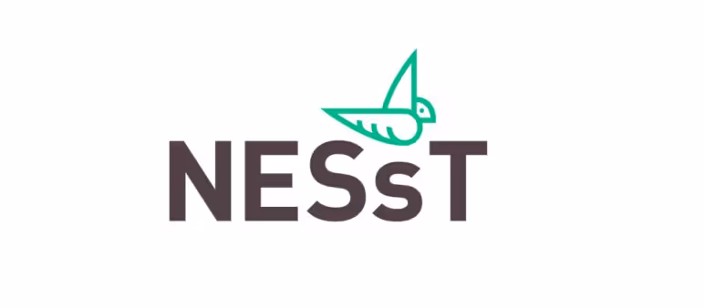 nesst logo