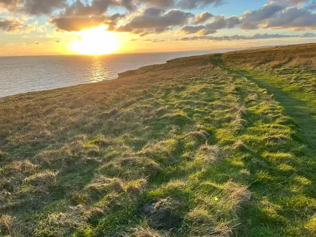 Scenic sunset over a coastal horse sanctuary and livery in Peacehaven, UK, featuring grassy paths, horses, and ocean views.