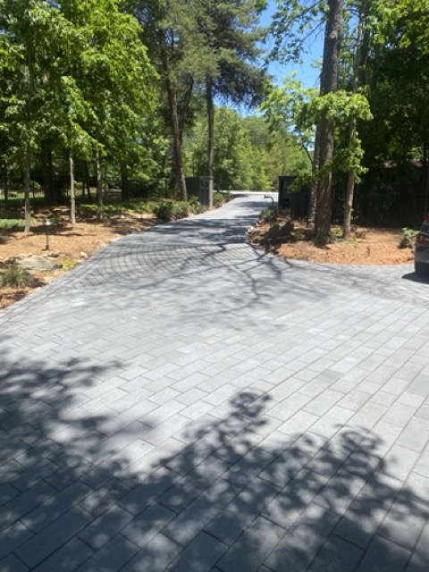 Curved paved driveway surrounded by tall trees and greenery under a clear blue sky.