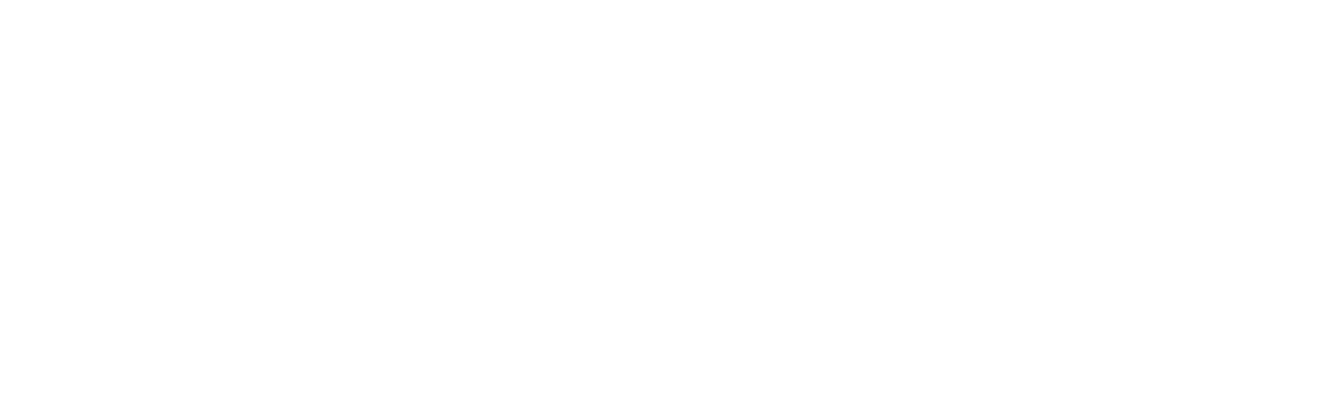 wave logo + lake vision typelogo