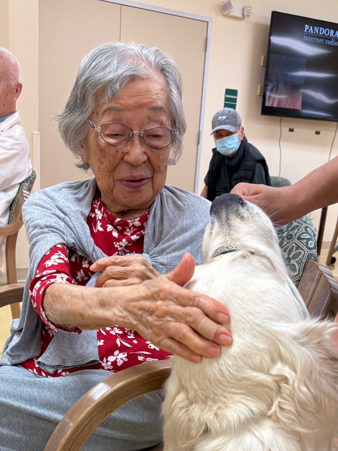 A Special Visitor with a Wagging Tail