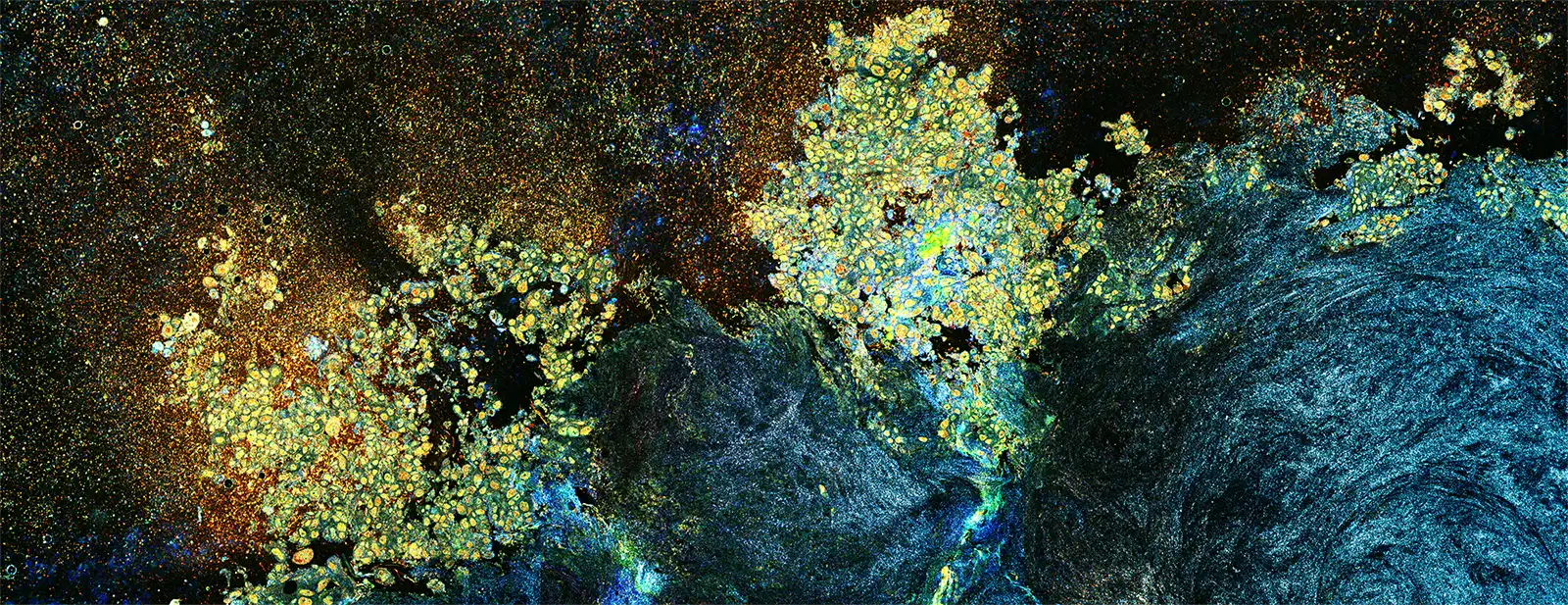 Metabolism Illuminated Diagnostics Improved